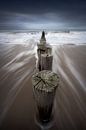Breakwater Zeeland by Thom Brouwer thumbnail