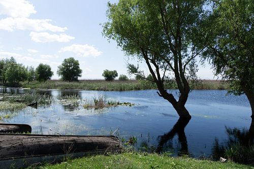 Idylische Flusslandschaft