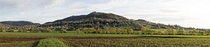 Frühlingserwachen unter der Burg Teck