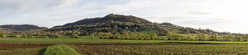 Le réveil du printemps au pied du château de Teck