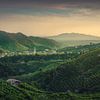 Prosecco-Hügel, Weinberge und Guia bei Sonnenaufgang von Stefano Orazzini