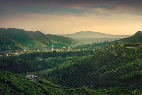 Prosecco heuvels, wijngaarden en Guia bij zonsopgang
