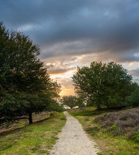 Posbank Arnhem