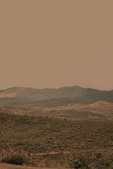 Atmospheric Layered Terrain Landscape With Warm Retro Tonal Haze