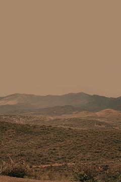 Sfeervol gelaagd landschap met warme retro-tinten van Stephanie Klatt