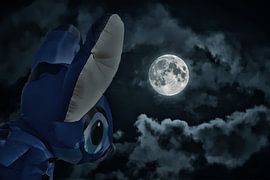 Drachenfestival Ostsee beim Vollmond van Dirk Bartschat