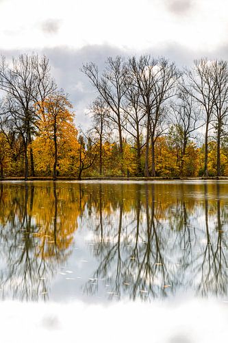 Weerspiegeling in het meer