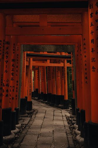 Row of red Torii