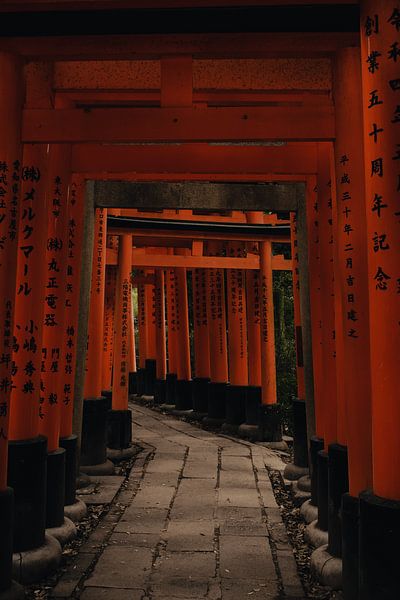 Reihe der Torri-Tore - Fushimi Inari - Japan von Manon Sloetjes