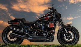 Harley Davidson van Brian Morgan
