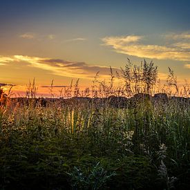 Summer sunset von Nathalie Labrosse