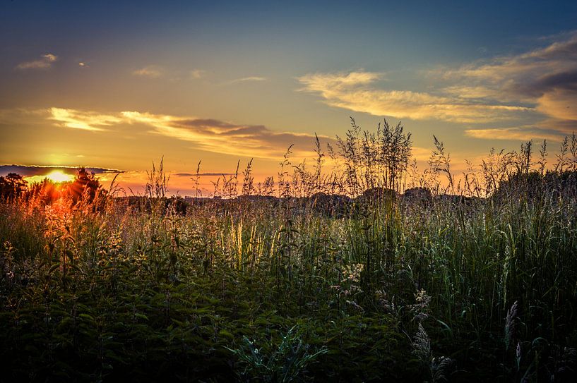 Summer sunset van Nathalie Labrosse