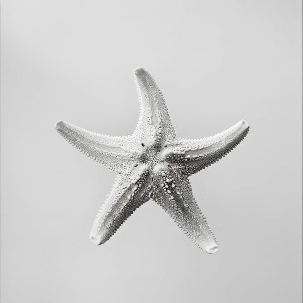 Starfish by Poster Art Shop