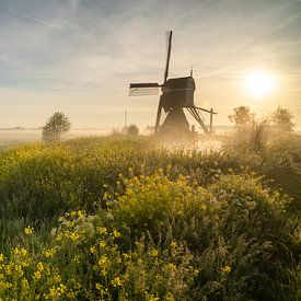 Le moulin De Broekmolen à Streefkerk, au milieu des fleurs printanières sur Raoul Baart