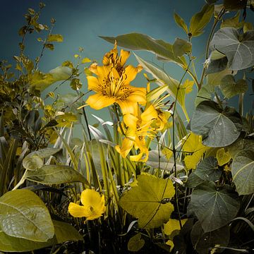 Casplantjes - Floral study in yellow van Cas Slagboom