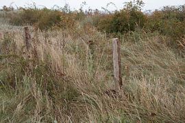 Weathered fence at the edge of the dune by Bengt Schrum