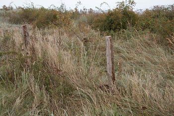 Verwitterter Zaun am Dünenrand