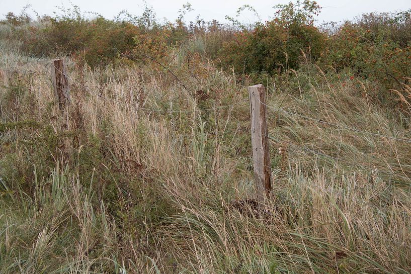 Weathered fence at the edge of the dune by Bengt Schrum