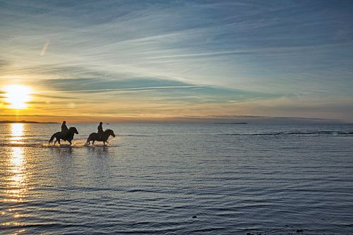 Amazones bij zonsondergang in Hørve