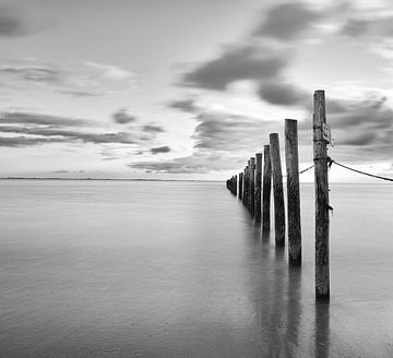 beach poles in black and white
