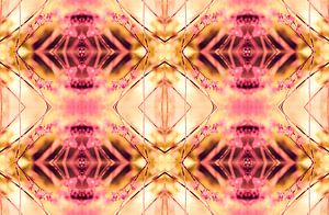 PINK SPANGLES no9-R3