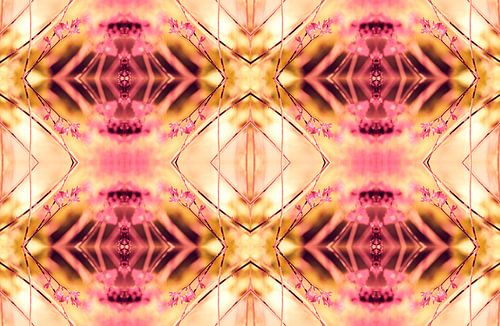 PINK SPANGLES no9-R3