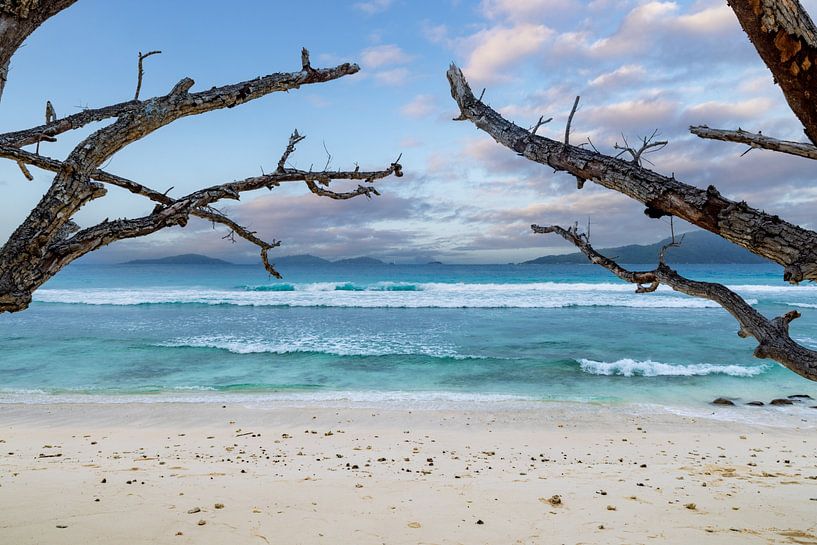 Seychelles by Dennis Eckert