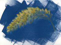 Grass palm in blue