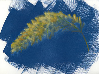 Grashalm in blauw