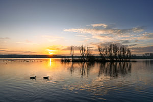 Sonnenaufgang am Kralingse plas in Rotterdam