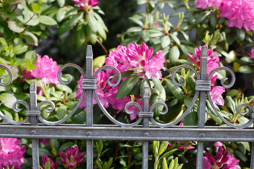 Verzierter Gartenzaun von Torsten Krüger