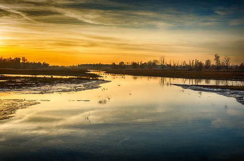 Kleurrijke zonsondergang in Nederlands natuurgebied