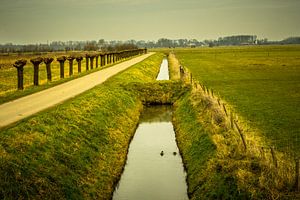 L'Ooijpolder près de Nijmegen