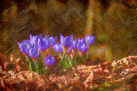 ABSTRAKT : FLORA von Photoart-Naegele