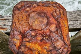 Rostiger Pfahlkopf auf See.