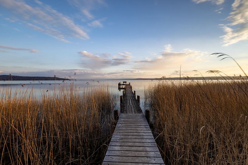 Auszeit am Ammersee von Manuel Weiter