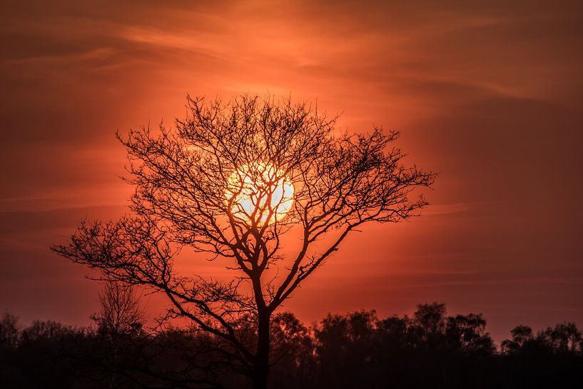 Sunset by Edwin  Beuving