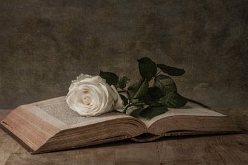 Une rose blanche sur un livre, nature morte sur Jaimy Leemburg Fotografie