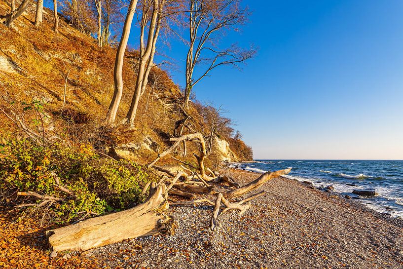 Les falaises de craie en automne sur la côte de la mer Baltique sur l'île de R par Rico Ködder