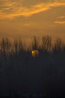 The sun rises