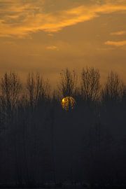 Die Sonne geht auf von Mirjam van der Sluijs