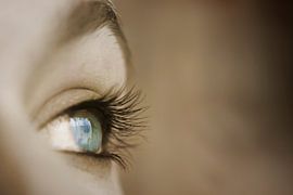 Profondeur de l'œil sur Martien Janssen