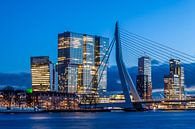 Erasmusbrug De Rotterdam par Havenfotos.nl(Reginald van Ravesteijn) Aperçu