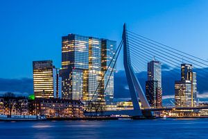 Erasmusbrug De Rotterdam van Havenfotos.nl(Reginald van Ravesteijn)