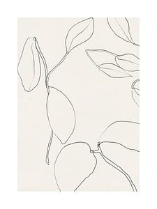 Vie Simple No 26