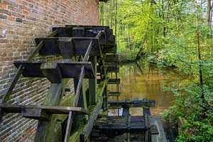 Rad van de watermolen van Herinckhave van Ron Poot