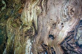 teken aan de wand van Ronald Hofmeester