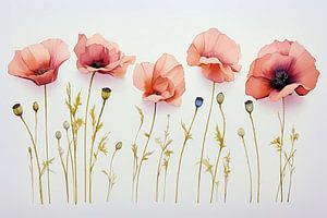 Mohnblumen
