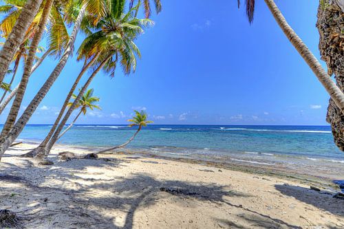Bij Playa Fronton op het schiereiland Samaná