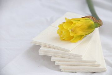 mourning depicted by narcissus on handkerchief